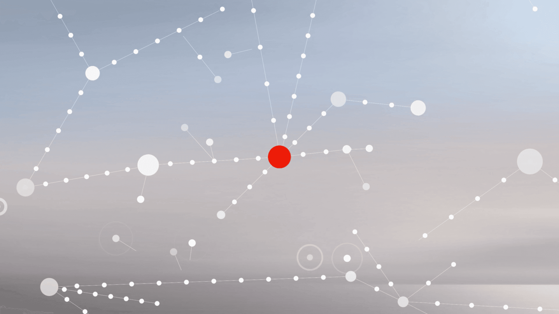 Motion Design
