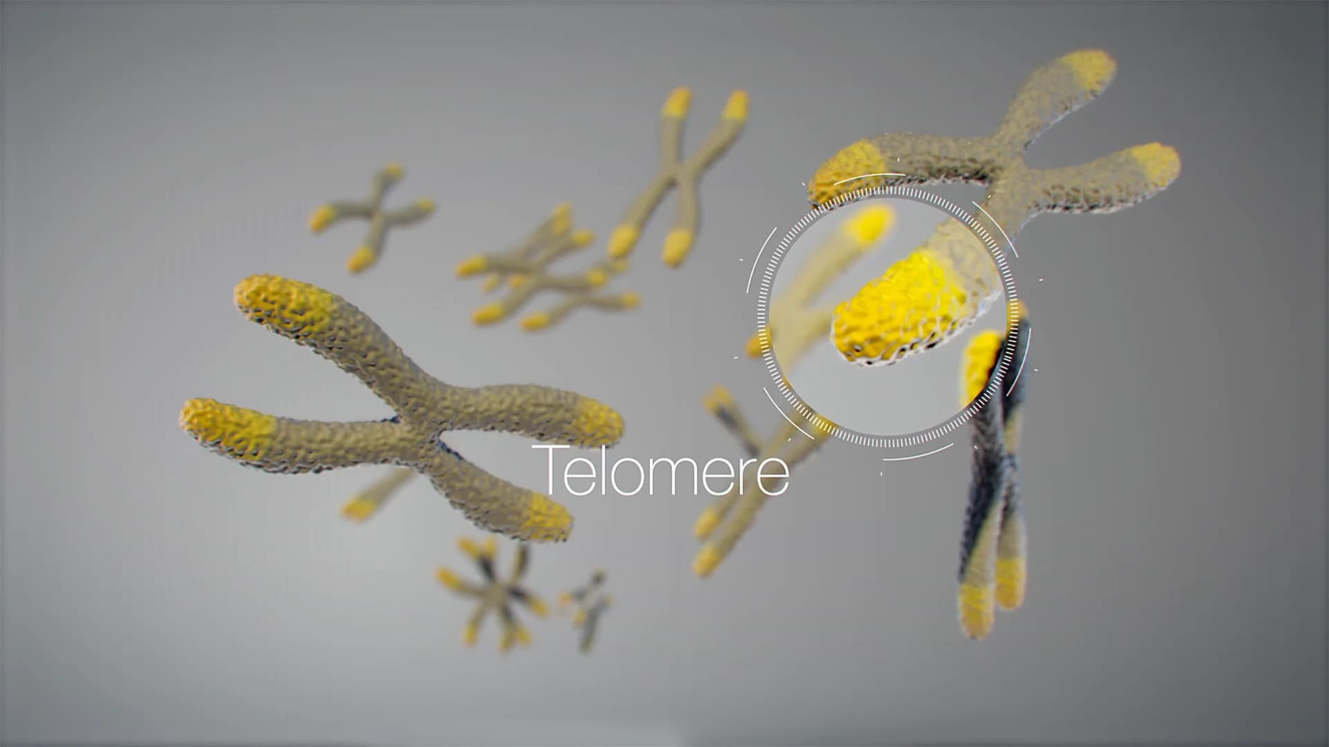 header-image header-image