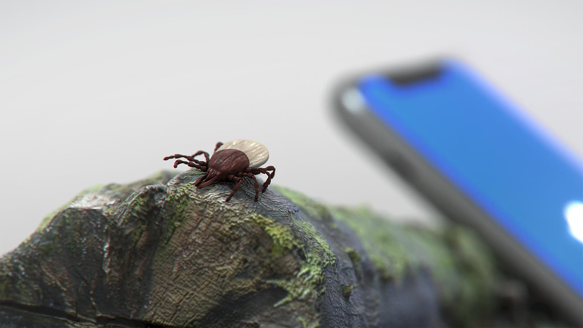 header-image header-image